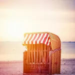 Strandläufer *