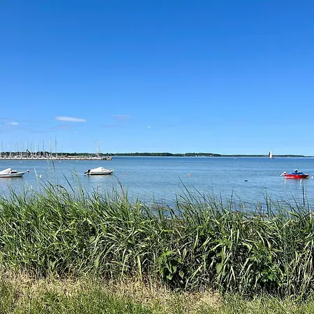 Strandläufer *